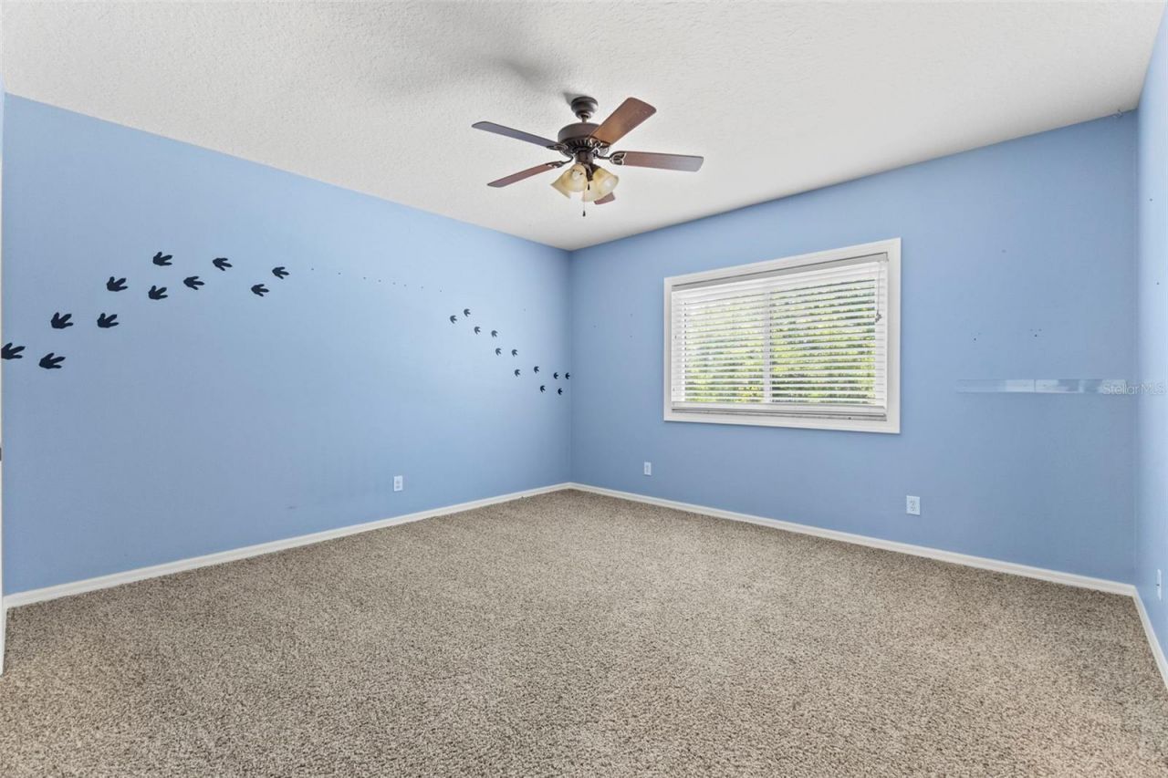 11621 Renaissance View Court, Tampa, FL 33626 Photo