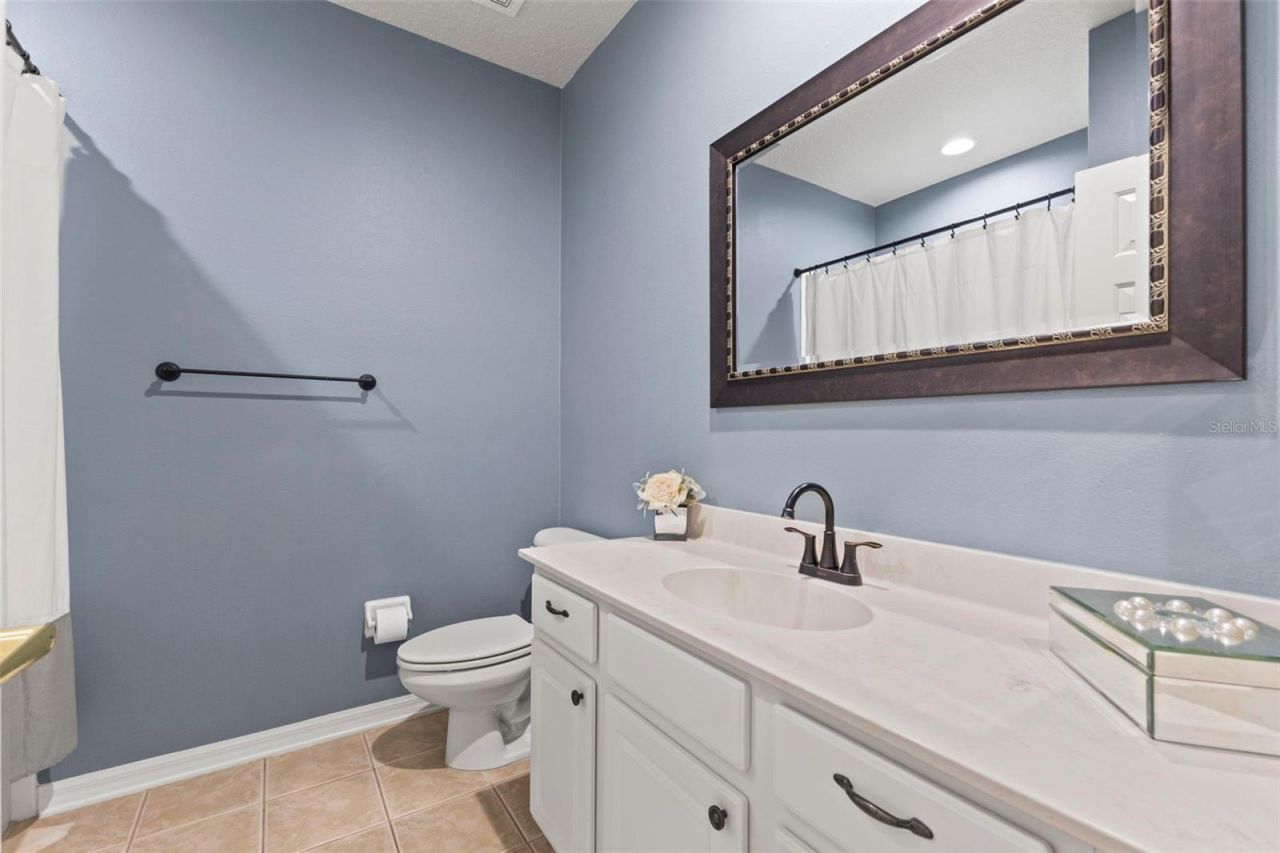 11621 Renaissance View Court, Tampa, FL 33626 Photo