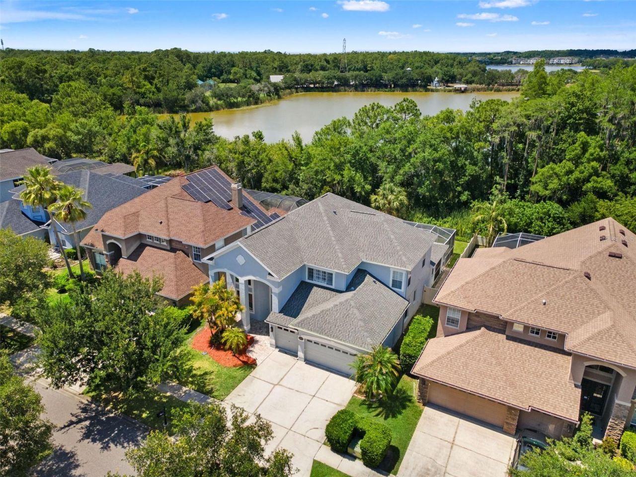 11621 Renaissance View Court, Tampa, FL 33626 Photo
