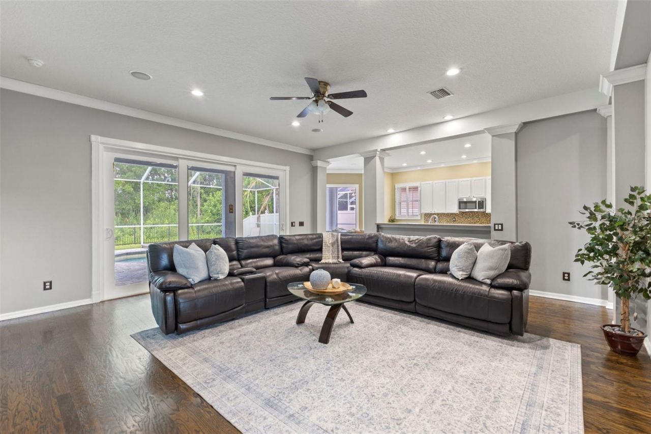 11621 Renaissance View Court, Tampa, FL 33626 Photo