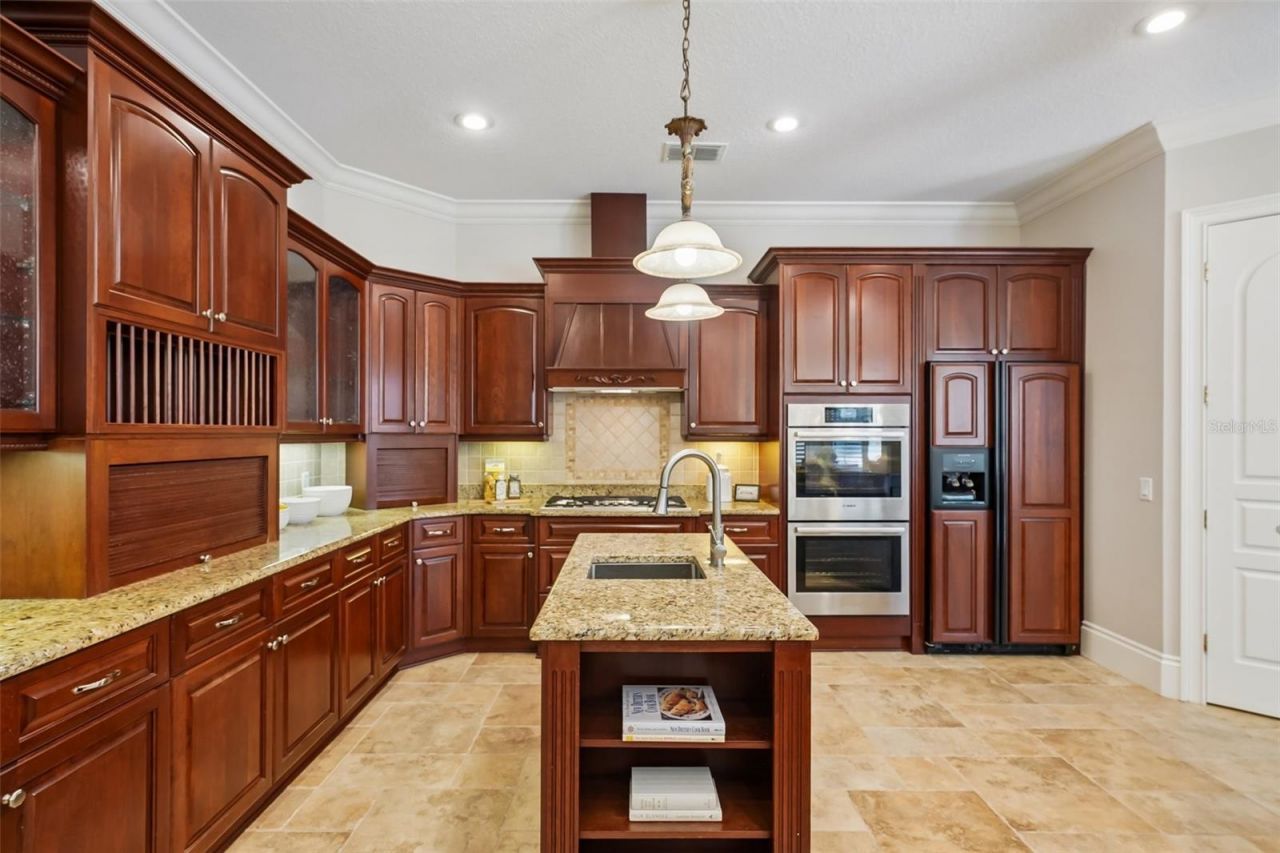 19705 Sea Rider Way, Lutz, FL 33559 Photo
