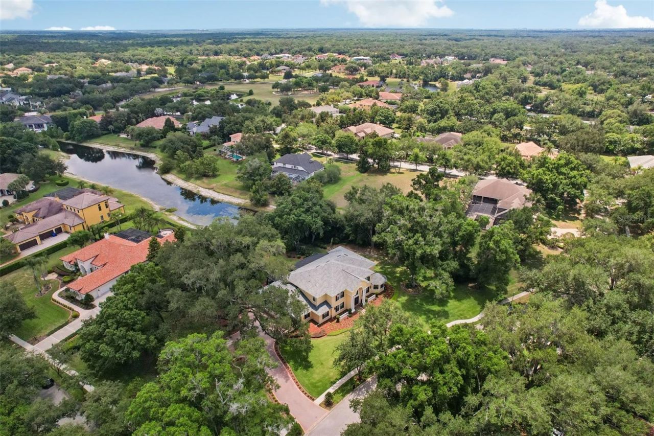 19705 Sea Rider Way, Lutz, FL 33559 Photo