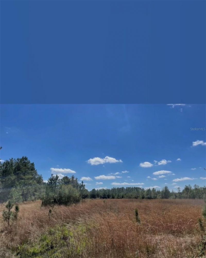 Ne 124th Ter , Fort Mc Coy, FL 32134 Main Photo
