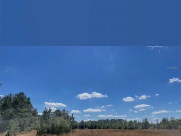 NE 124TH TER , FORT MC COY, FL 32134