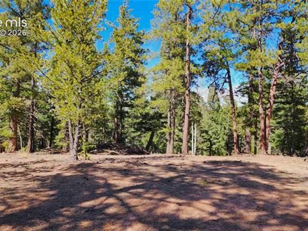 178 Gerka Lane, Florissant, CO 80816