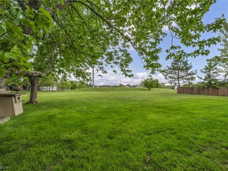 4405 Lexington Ridge Drive , Medina, OH 44256 Photo 43