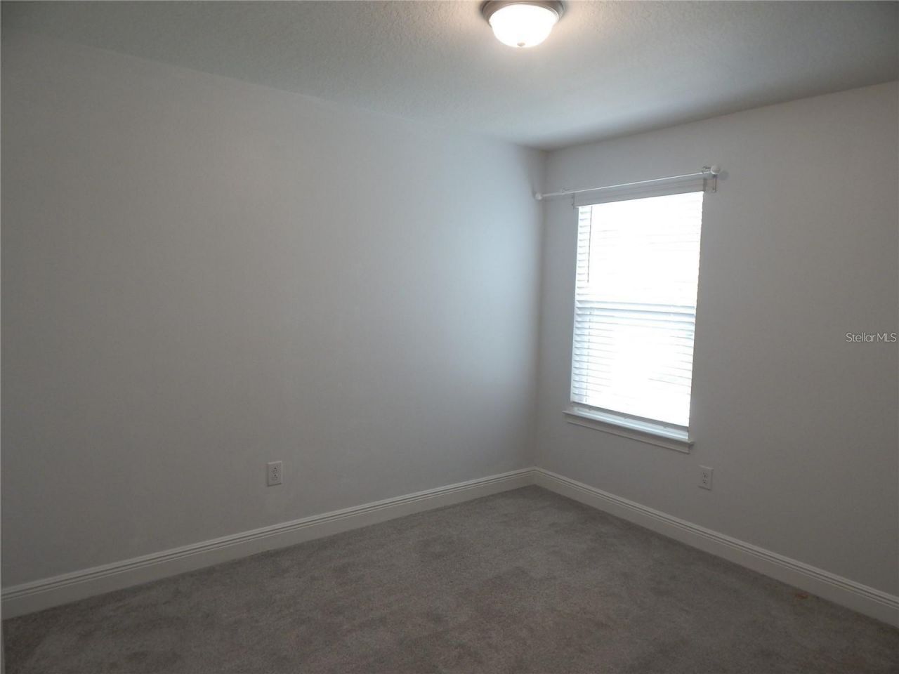 10115 Newel Valley Loop, Riverview, FL 33569 Photo