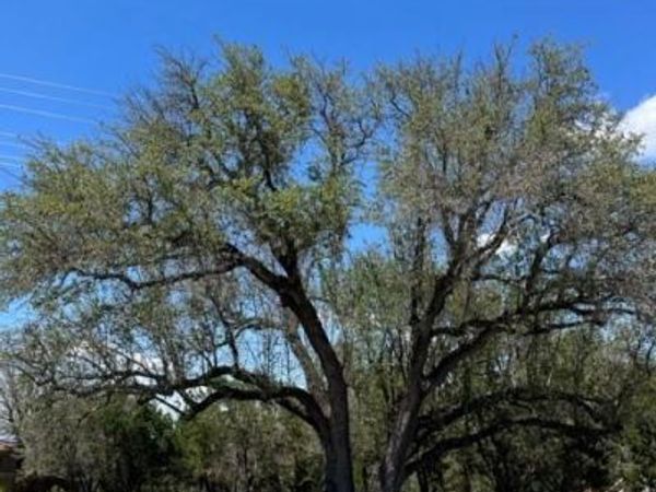 20703 High DR, Lago Vista, TX 78645