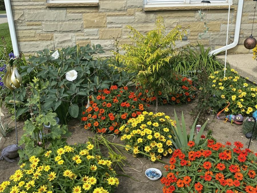 Property Image 57