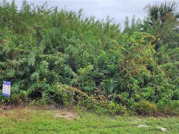 305 Rand AVE , LEHIGH ACRES, FL 33974