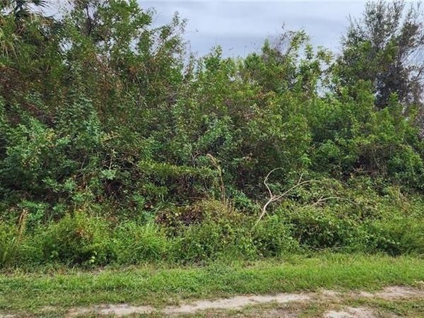 305 Rand AVE , LEHIGH ACRES, FL 33974