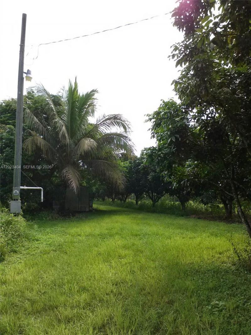 19675 SW 165 Avenue, Miami, FL 33187 Photo
