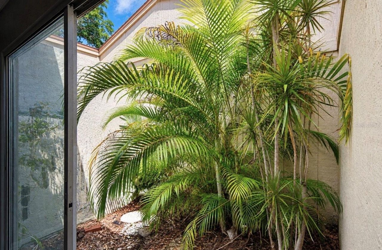 3506 Auburn Court, Unit 230, Sarasota, FL 34231 Photo