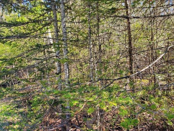 Lot 292 Bay View Drive, Presque Isle, MI 49777