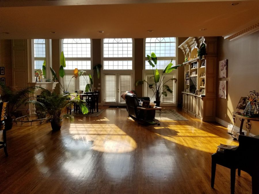 Property Image 41