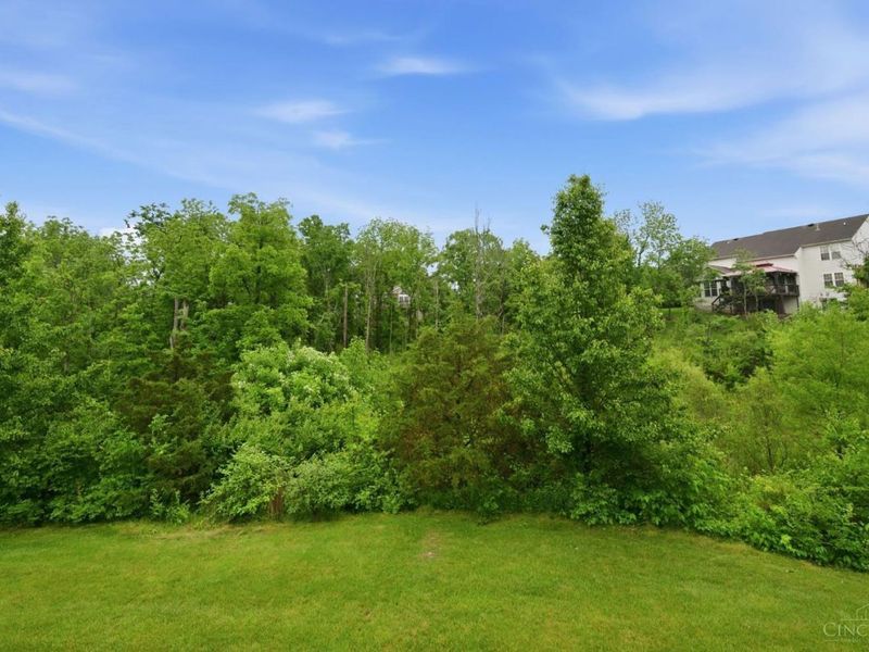 4202 Marival, Mason, OH 45040 Photo 3