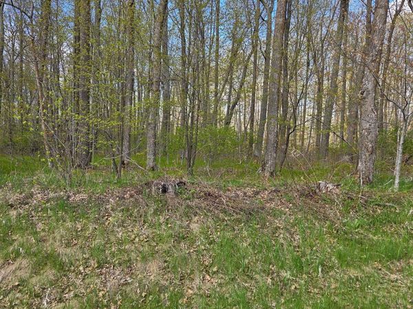TBD Nicholas St , Grand Rapids, MN 55744