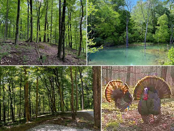 0 Little Kyger Road , Unit (Little Ky, Cheshire, OH 45620