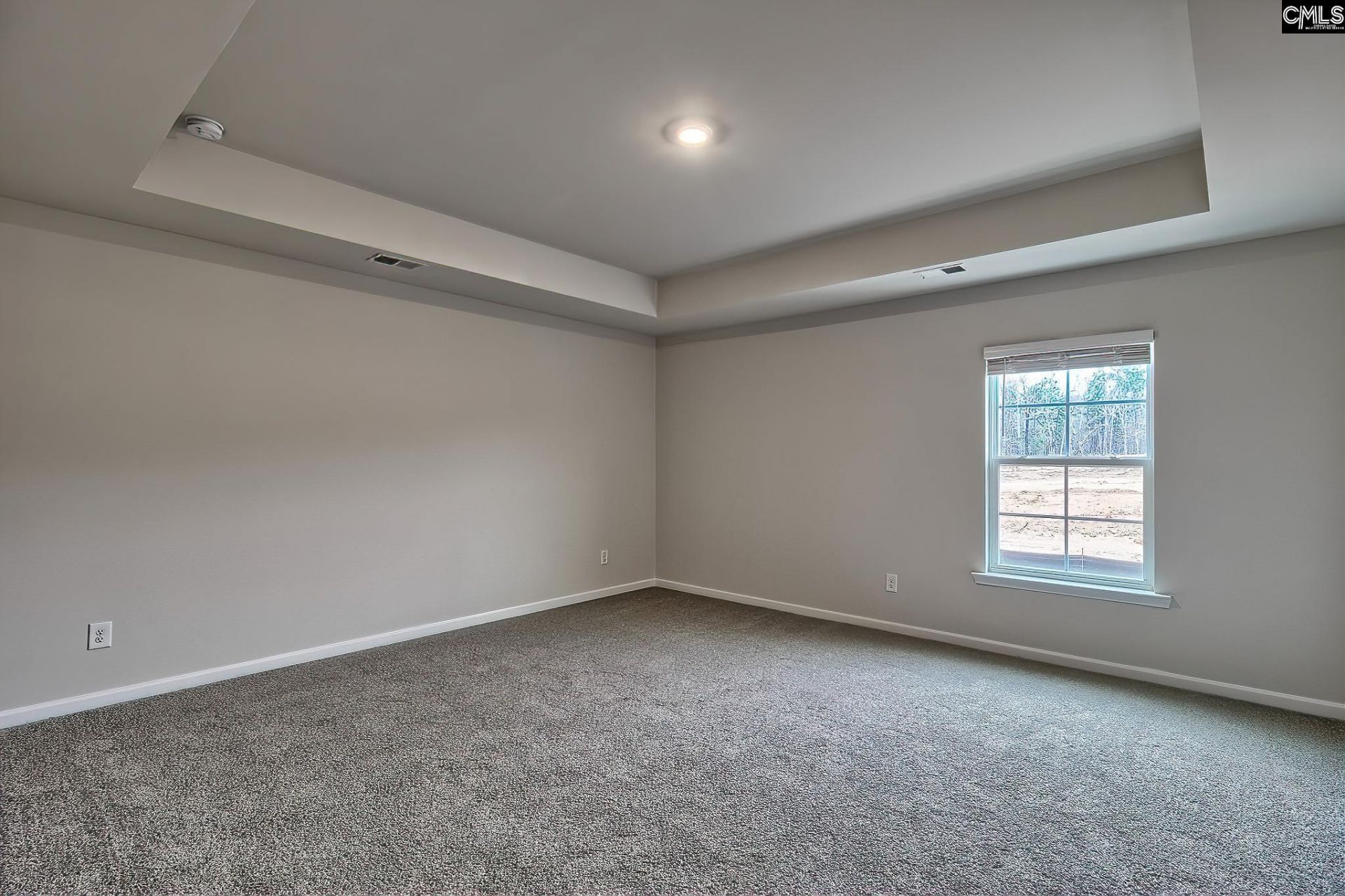 641 Marbled Teal Lane  Photo 29