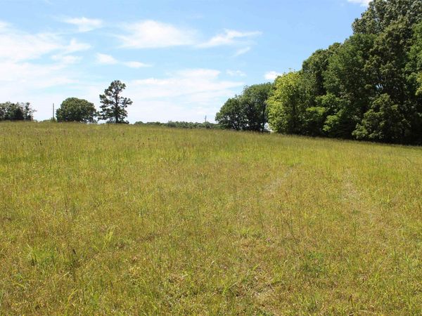 000 LAKE HARDEMAN RD, Hickory Valley, TN 38042