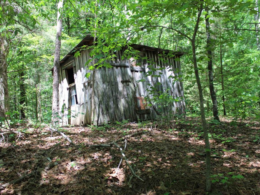 Property Image 38