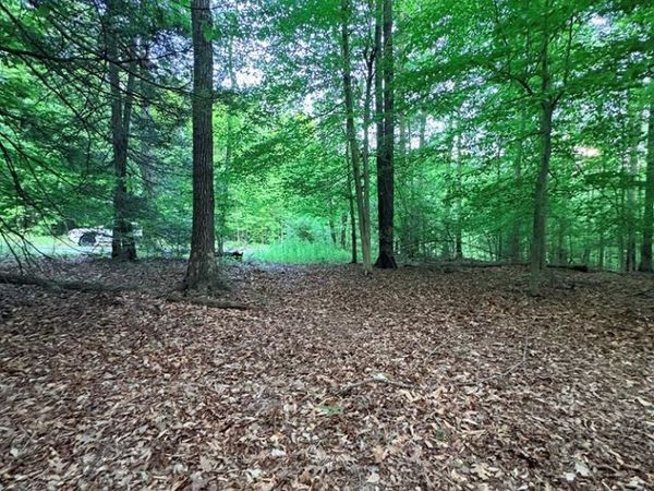 Ledgeview Dr, FAYETTEVILLE, WV 25840