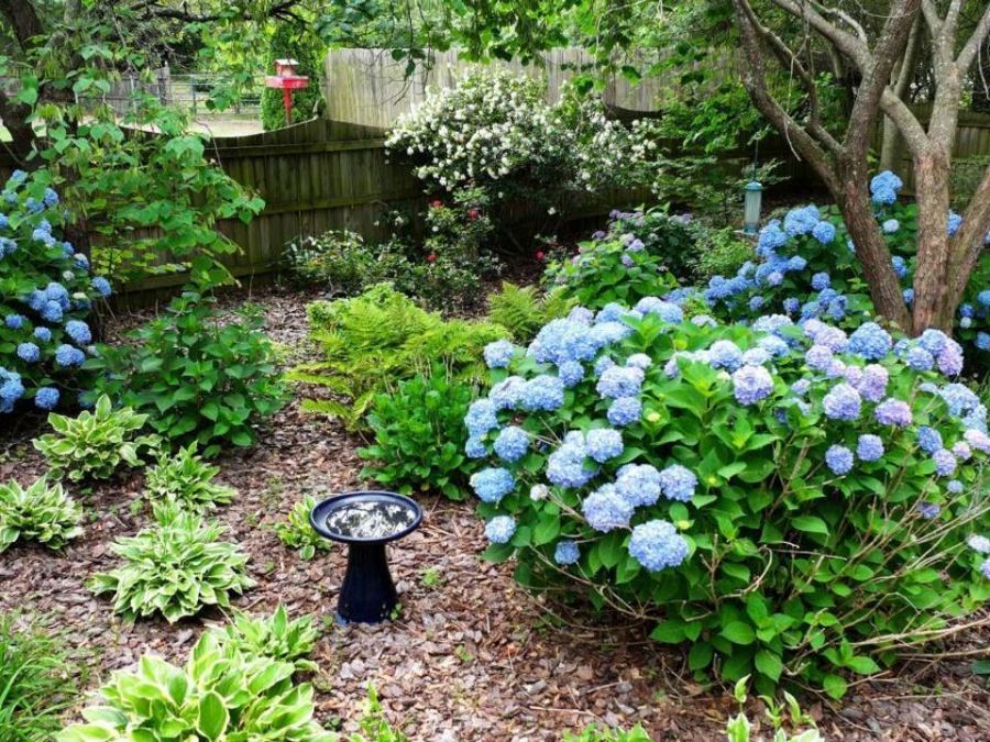 Property Image 71