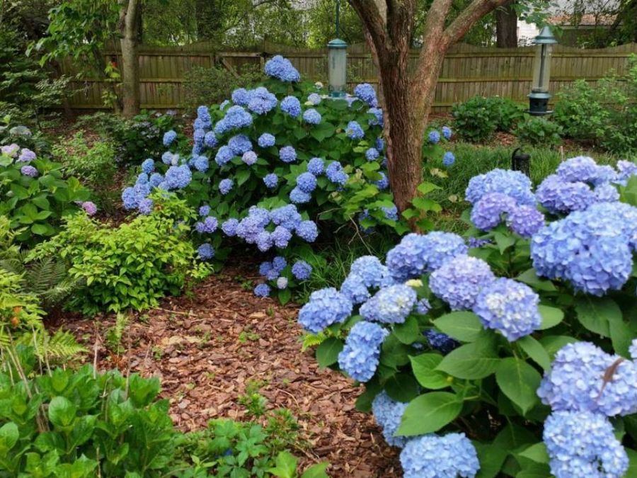 Property Image 72