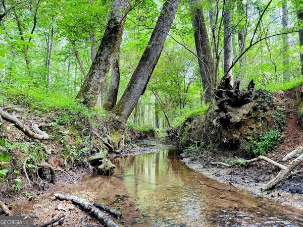 0 Caldwell Road, Unit TRACT B1, Gay, GA 30218