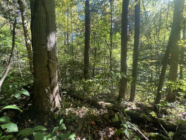 Lot 15 Red River Valley , Slade, KY 40376