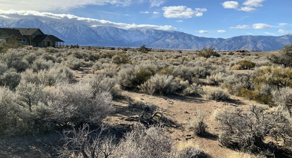 1290 Jo Lane, Gardnerville, NV 89410 Photo