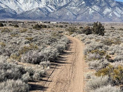 1290 Jo Lane, Gardnerville, NV 89410 Photo