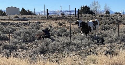 1290 Jo Lane, Gardnerville, NV 89410 Photo