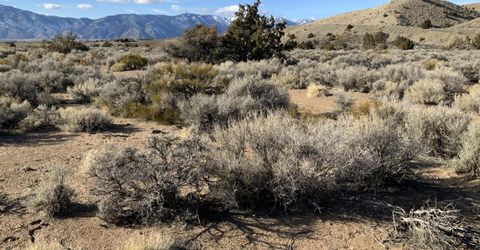 1290 Jo Lane, Gardnerville, NV 89410 Photo
