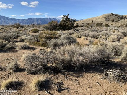 1290 Jo Lane, Gardnerville, NV 89410 Photo