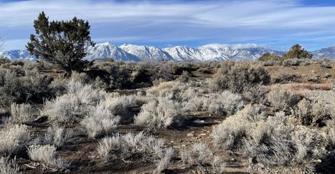 1290 Jo Lane, Gardnerville, NV 89410 Photo
