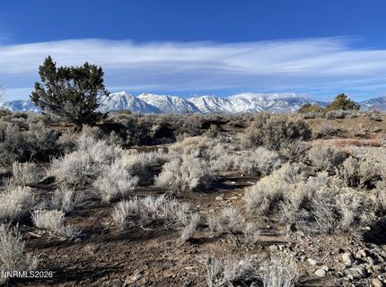 1290 Jo Lane, Gardnerville, NV 89410 Photo