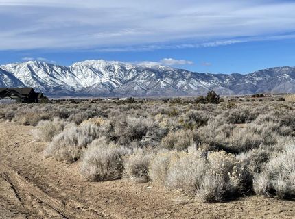 1290 Jo Lane, Gardnerville, NV 89410 Photo