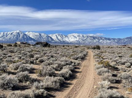 1290 Jo Lane, Gardnerville, NV 89410 Photo