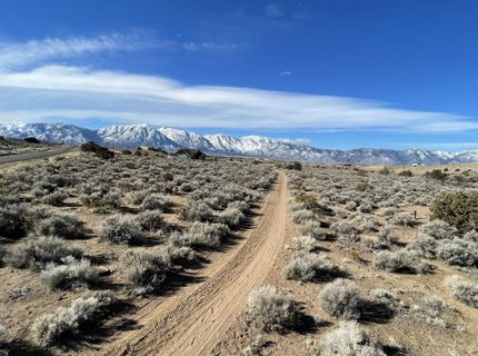 1290 Jo Lane, Gardnerville, NV 89410 Photo