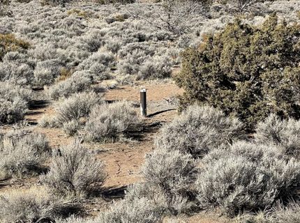 1290 Jo Lane, Gardnerville, NV 89410 Photo