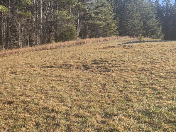 122 White Water Run Lane , Ocoee, TN 37361