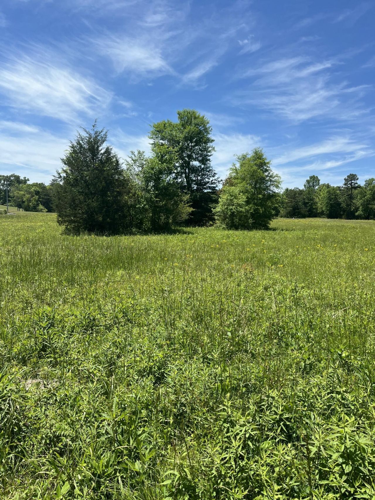 0 County Road 545 , Englewood, TN 37329 Main Photo
