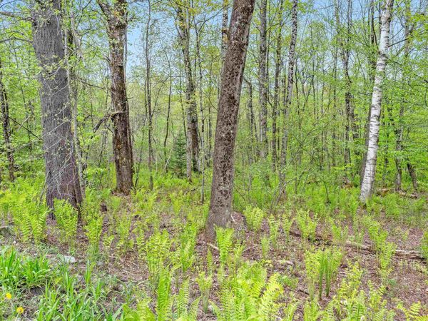 753 Scrabble Hill Road, Unit 2, Duxbury, VT 05676