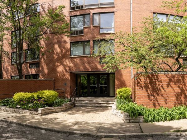 1169 S Plymouth Court , Unit 302, Chicago, IL 60605