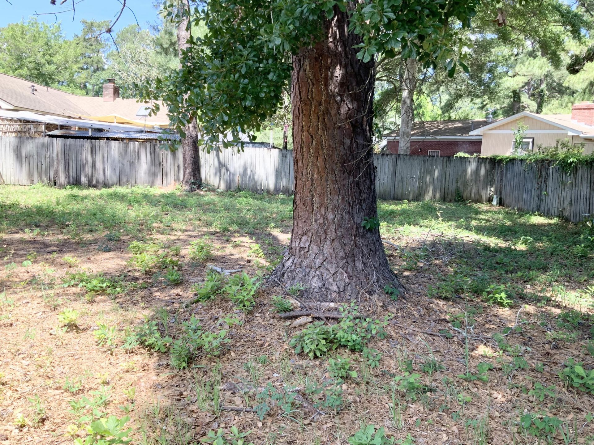 103 Sandtrap Road Photo 24