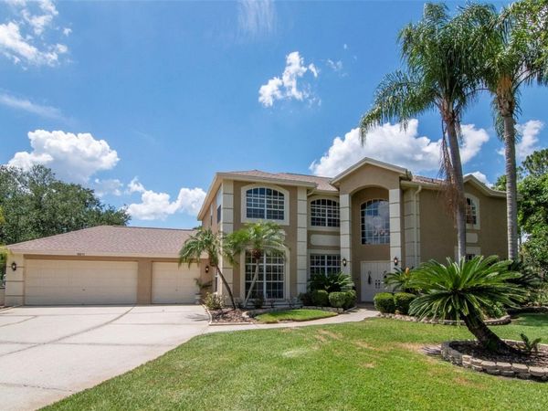18511 BITTERN AVENUE, LUTZ, FL 33558