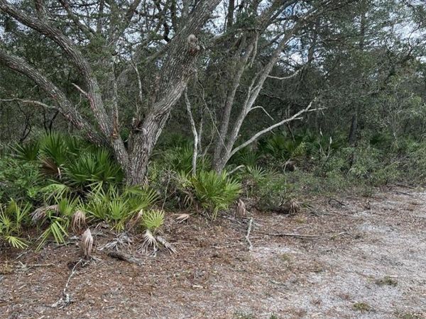 0 NE 144 COURT , FORT MC COY, FL 32134