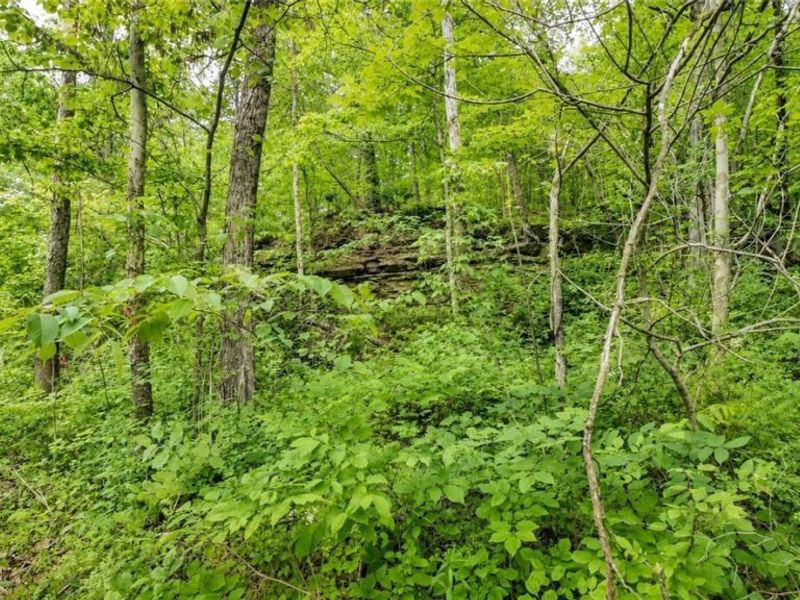 3368 Lowe Lane, McConnelsville, OH 43756 Photo 41