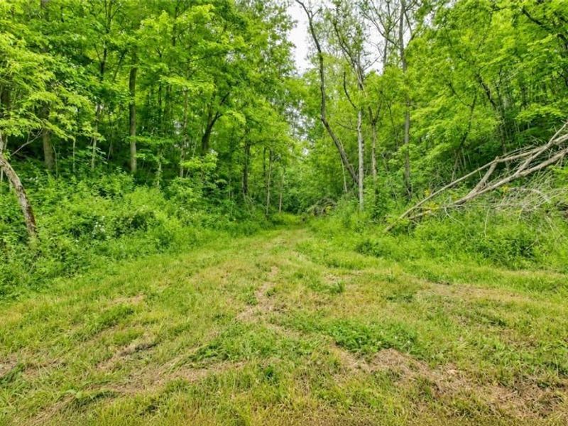 3368 Lowe Lane, McConnelsville, OH 43756 Photo 44